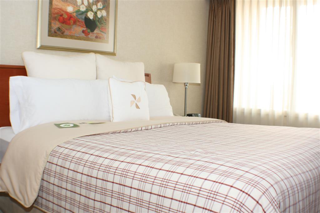 Four Points By Sheraton Charlotte Habitación foto